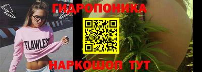 2c-b Сланцы